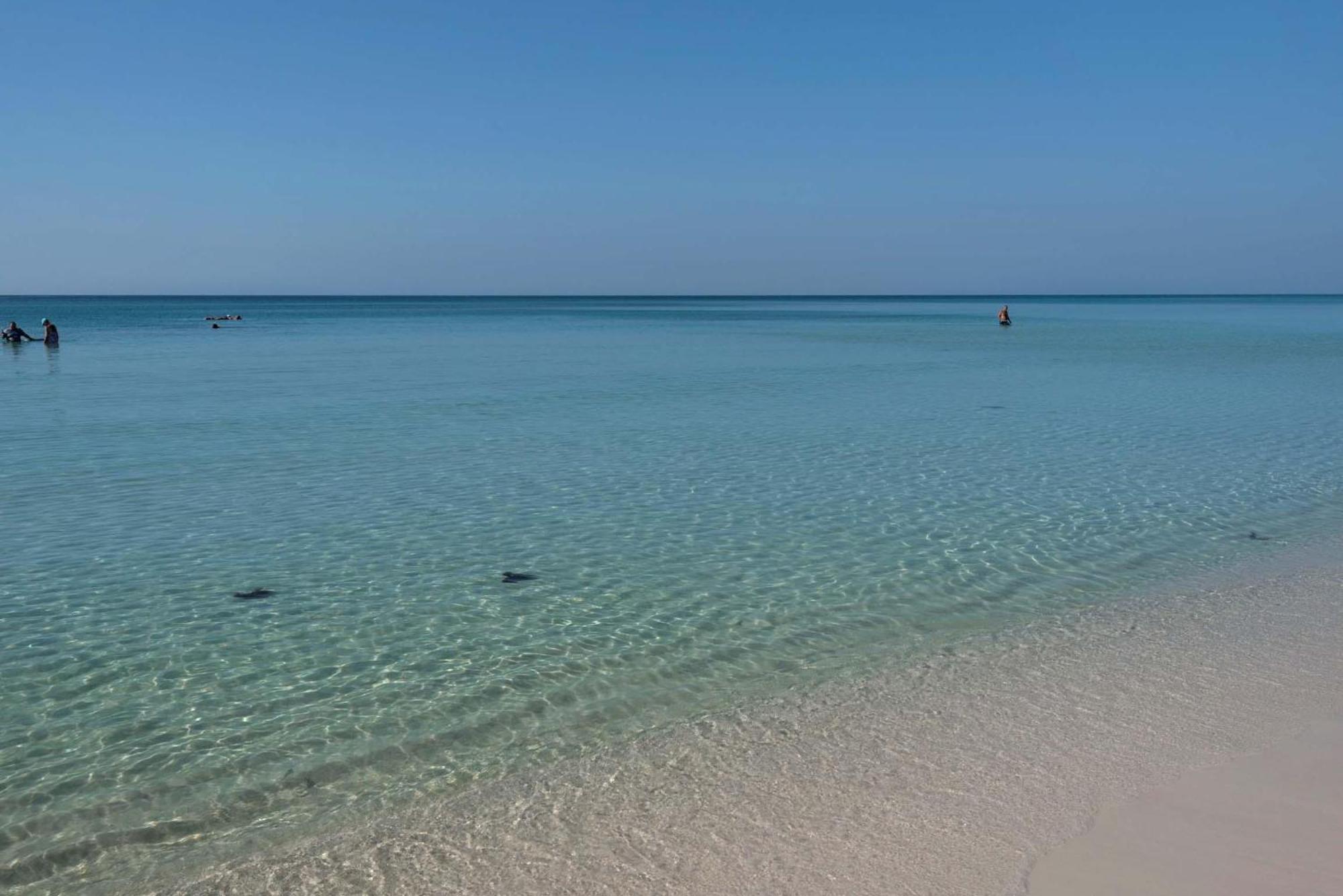 Apartament Majestic Sun 605B Destin Zewnętrze zdjęcie